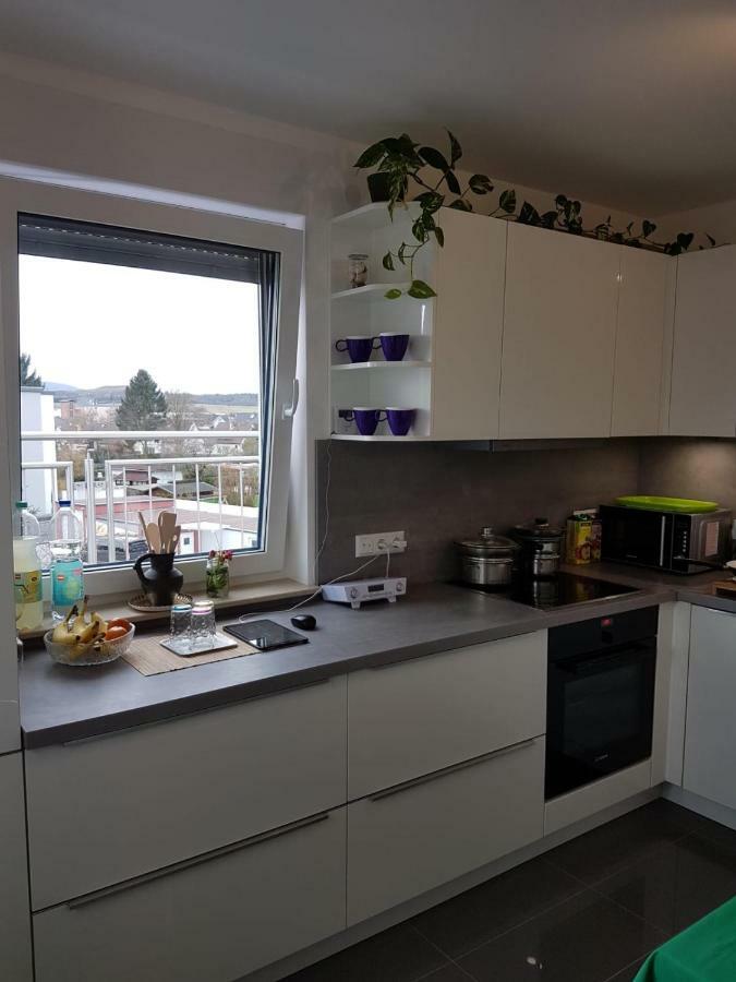 Apartment Near Frankfurt, Fantastic View! Usingen Eksteriør billede