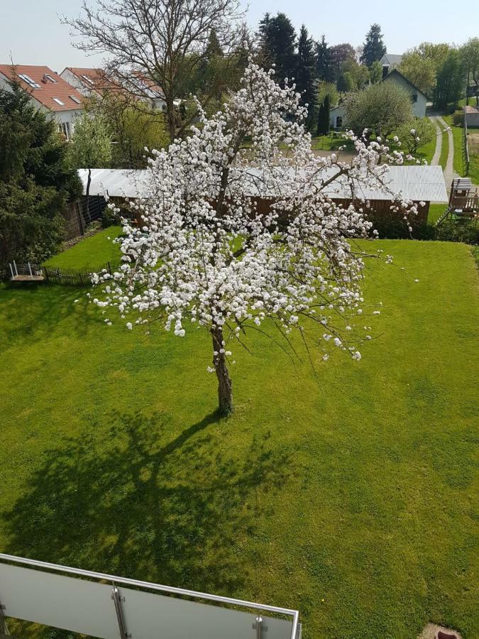 Apartment Near Frankfurt, Fantastic View! Usingen Eksteriør billede